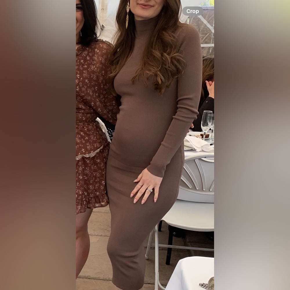 Ara Chic Taupe Long Sleeve Dress
